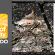 Illustration for article titled Fotopedia Japan for iPad: Take a Trip to Japan Without Going to Japan